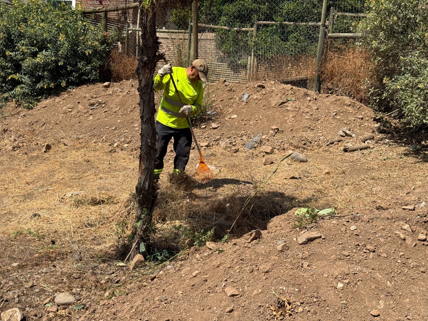 Desmalezamiento La Cintura