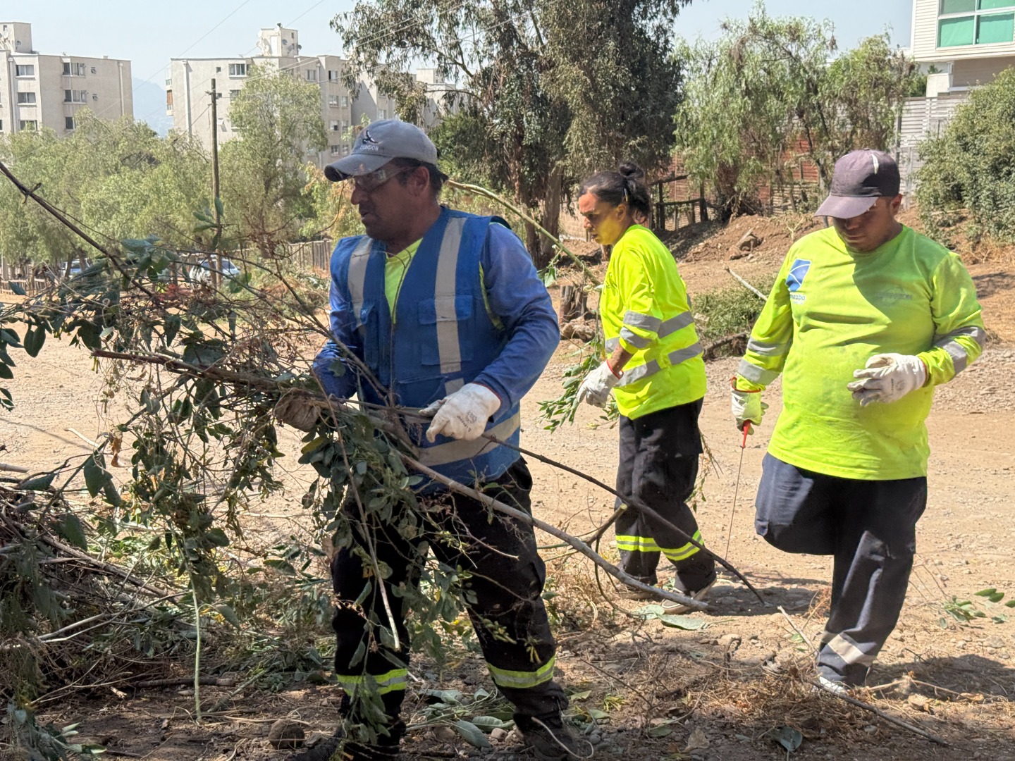 Desmalezamiento La Cintura