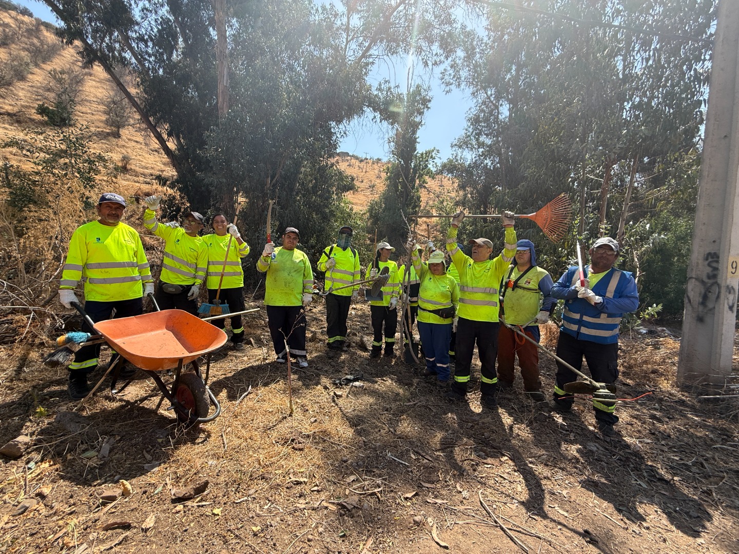 Desmalezamiento La Cintura