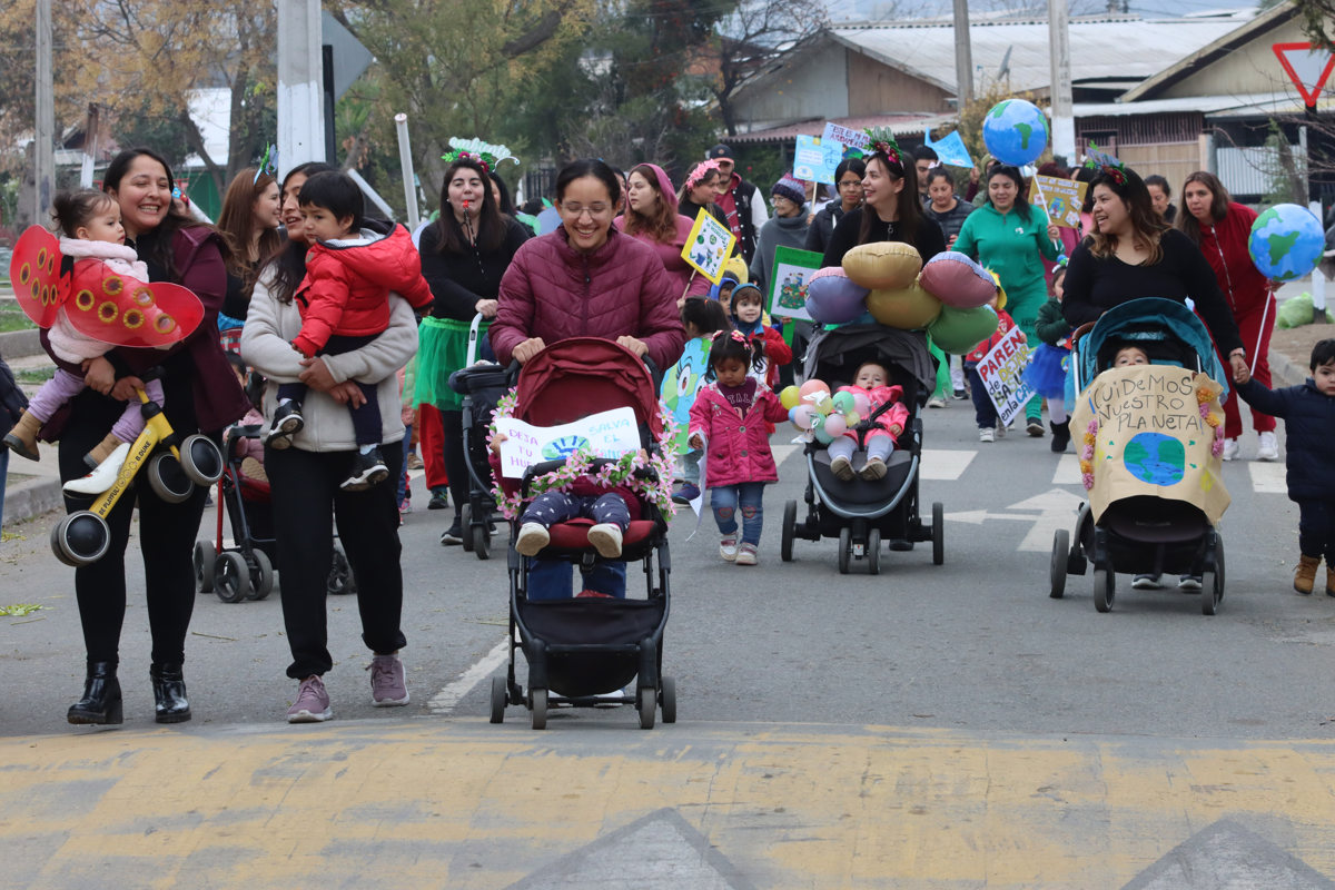 Marcha Medio Ambiente