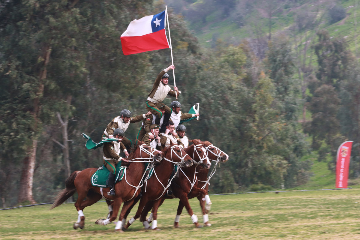 Cuadro Verde Carabineros