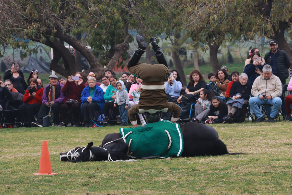Cuadro Verde Carabineros