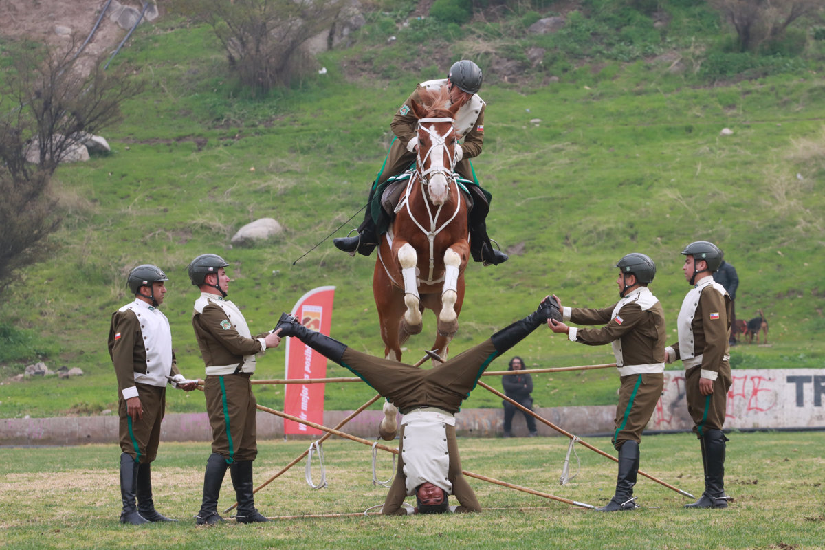 Cuadro Verde Carabineros