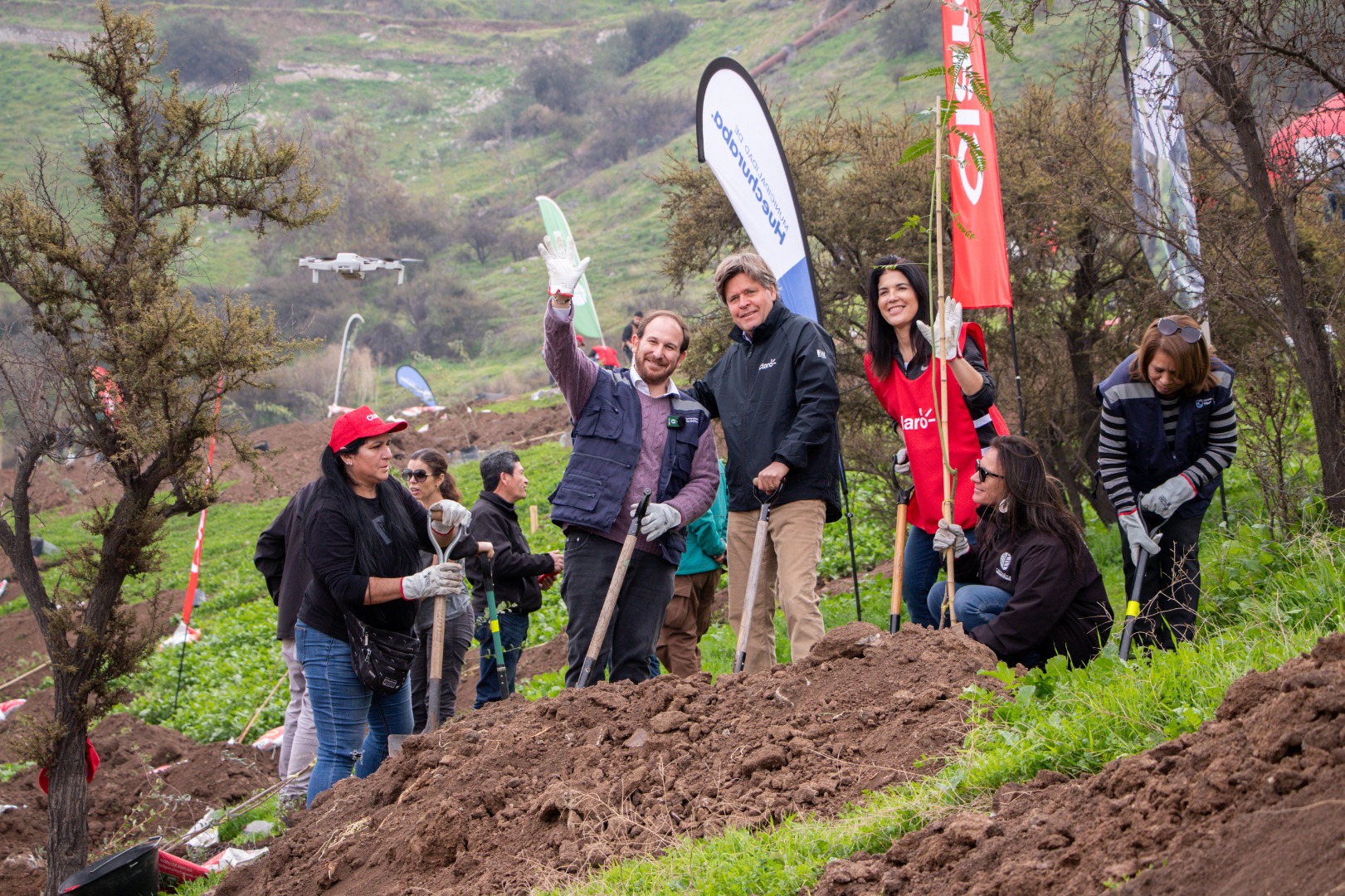 Arborización El Rosal