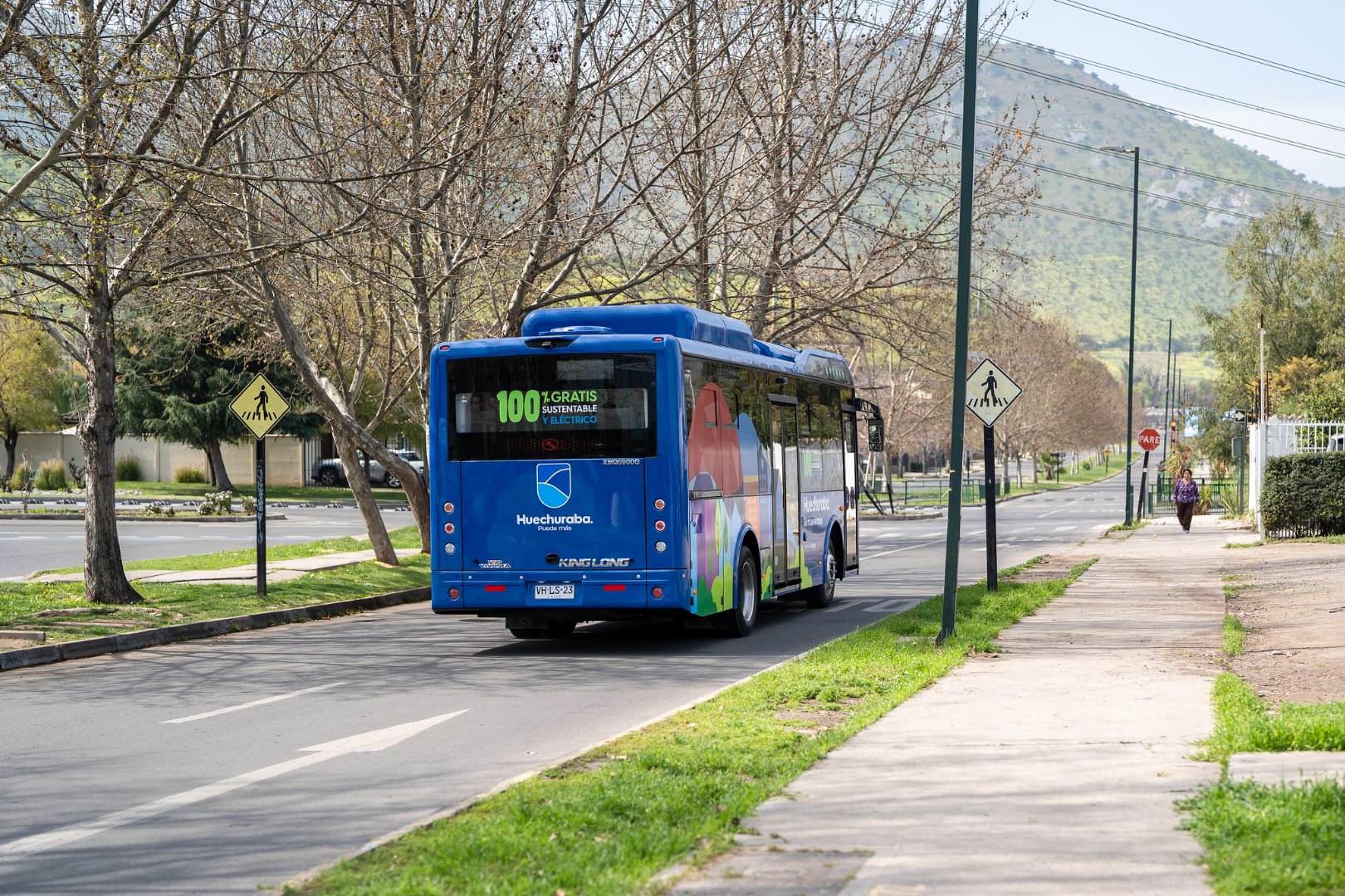 Buses Eléctricos