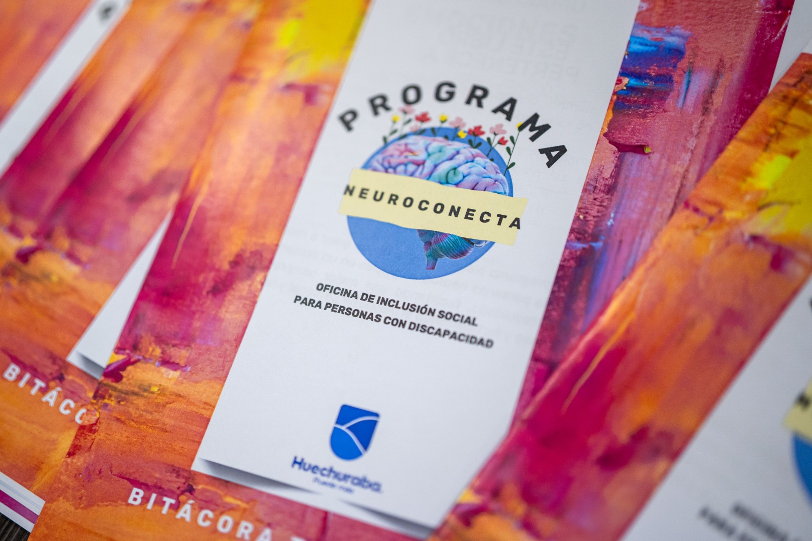 Programa NeuroConecta