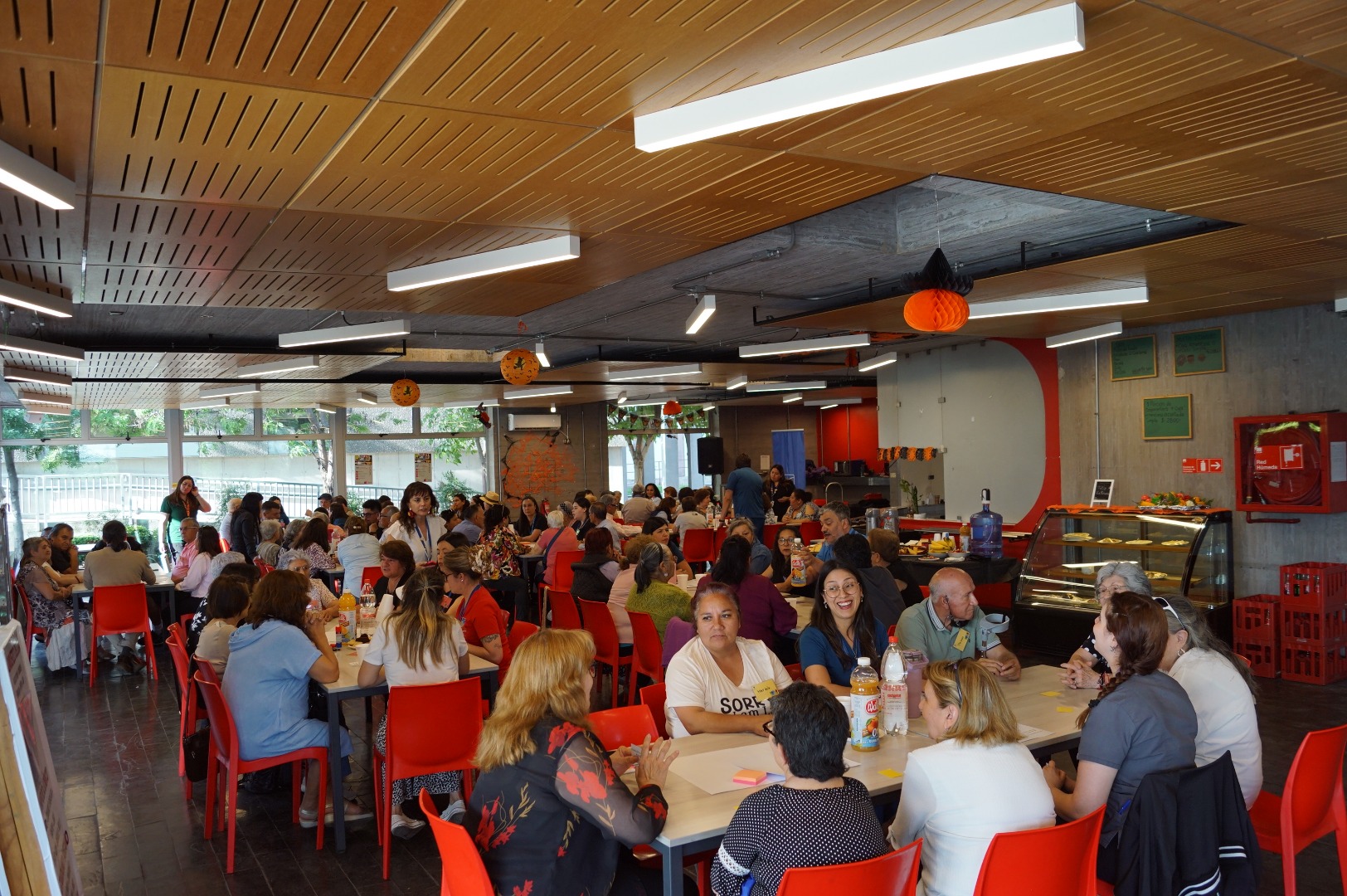 Diagnóstico Rehabilitación