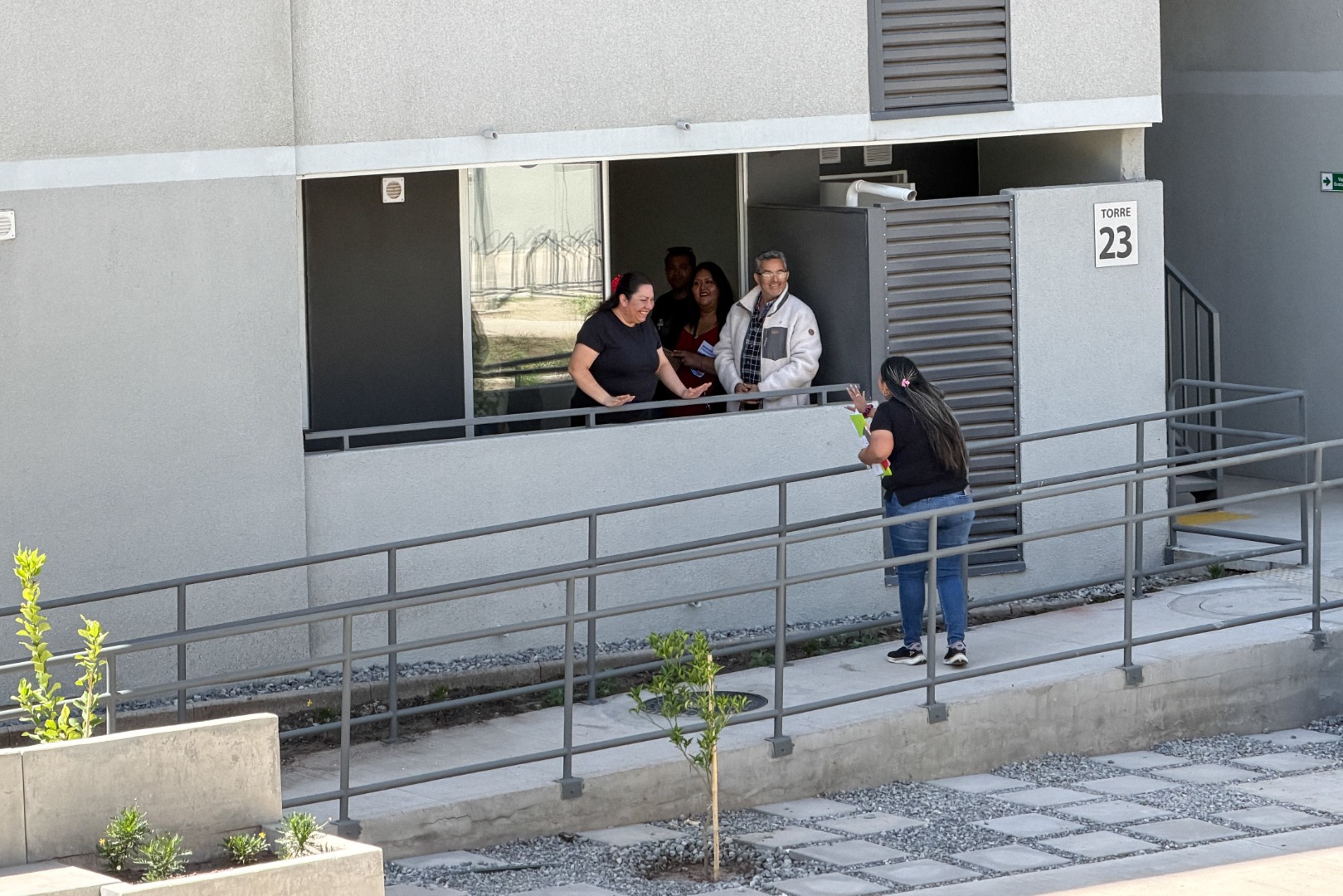 Cumbres de Girasoles